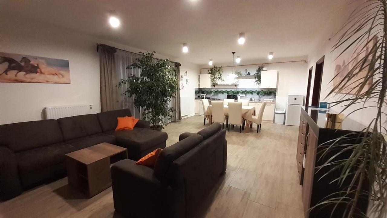 Bibic Apartman A Kapolnasnyek Esterno foto