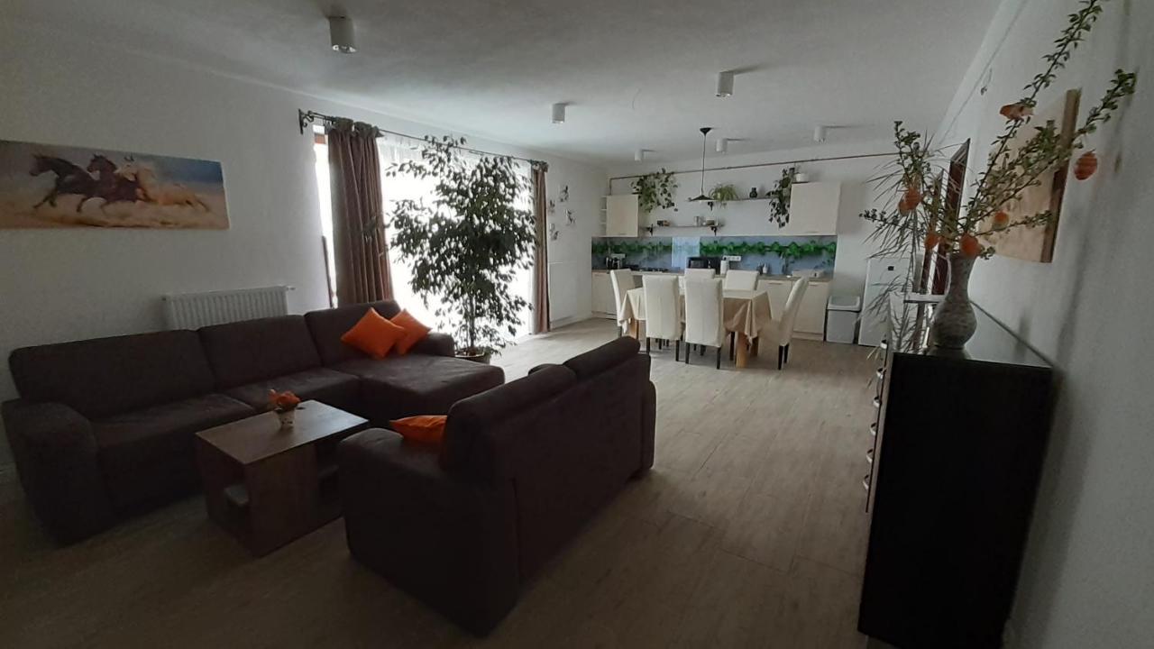 Bibic Apartman A Kapolnasnyek Esterno foto